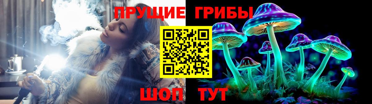 Галлюциногенные грибы Psilocybe Кохма